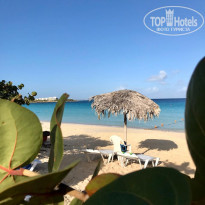 фото из отзыва ID 2118654