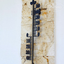 фото из отзыва ID 2118766