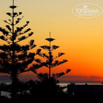 фото из отзыва ID 2118766