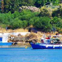 фото из отзыва ID 2118766