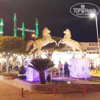 фото из отзыва ID 2118964