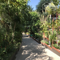 фото из отзыва ID 2119001