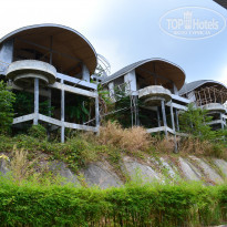 фото из отзыва ID 2119013