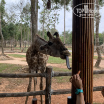 фото из отзыва ID 2117291