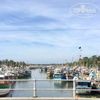 фото из отзыва ID 2118851