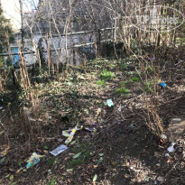 фото из отзыва ID 2119204