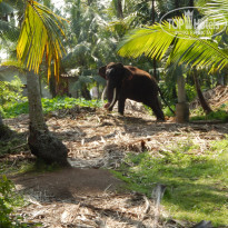 фото из отзыва ID 2119116