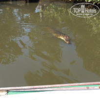 фото из отзыва ID 2119116