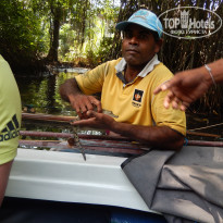 фото из отзыва ID 2119116