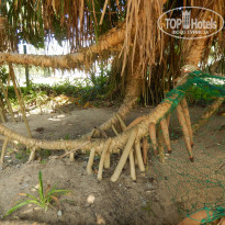 фото из отзыва ID 2119116