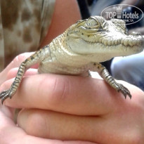 фото из отзыва ID 2119116