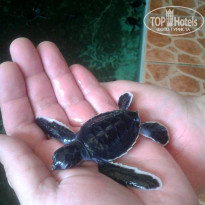 фото из отзыва ID 2119116