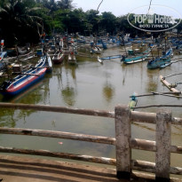 фото из отзыва ID 2119116