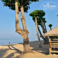 фото из отзыва ID 2119428