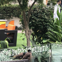 фото из отзыва ID 2119394