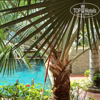 фото из отзыва ID 2119464