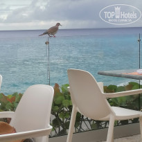 фото из отзыва ID 2119493