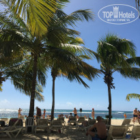 фото из отзыва ID 2119492