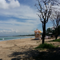 фото из отзыва ID 2119485