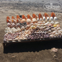 фото из отзыва ID 2119485