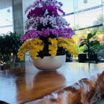 фото из отзыва ID 2119494