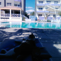 фото из отзыва ID 2119508