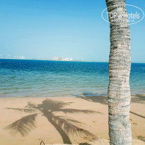 фото из отзыва ID 2119275