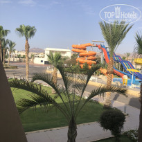 фото из отзыва ID 2119576