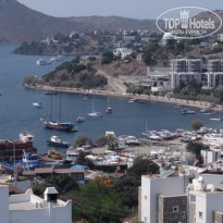 фото из отзыва ID 2119583