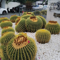 фото из отзыва ID 2119583