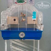 фото из отзыва ID 2118547