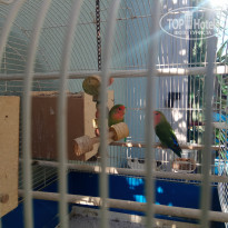 фото из отзыва ID 2118547