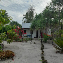 фото из отзыва ID 2119681