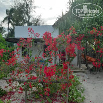 фото из отзыва ID 2119681