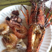 фото из отзыва ID 2119681