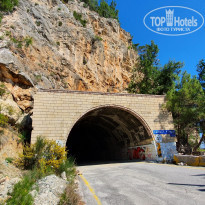 фото из отзыва ID 2119991