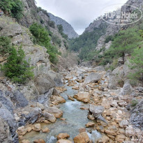 фото из отзыва ID 2119991