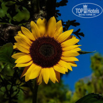 фото из отзыва ID 2118870