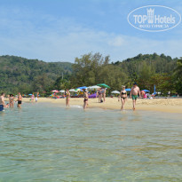 фото из отзыва ID 2118614