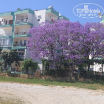 фото из отзыва ID 2116049