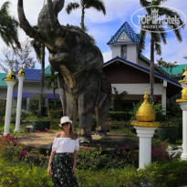 фото из отзыва ID 2110354