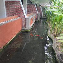 фото из отзыва ID 2117939