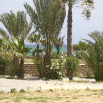 фото из отзыва ID 212760