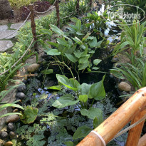 фото из отзыва ID 2120161