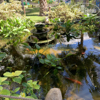 фото из отзыва ID 2120161