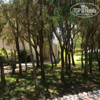 фото из отзыва ID 2120156