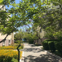 фото из отзыва ID 2120156