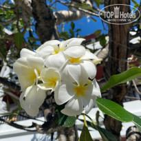 фото из отзыва ID 2120169