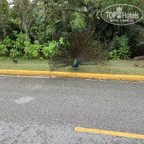 фото из отзыва ID 2120243