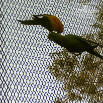 фото из отзыва ID 2120353